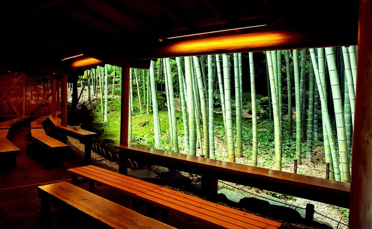 Hokokuji: bamboo & matcha