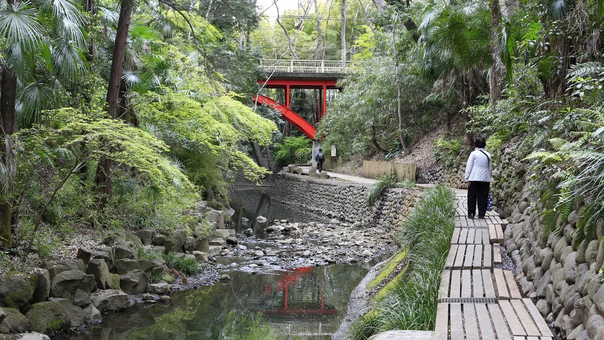 Todoroki Ravine Park
