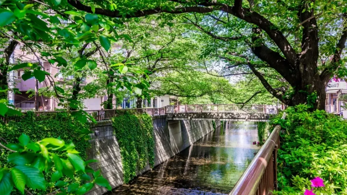 Meguro River walk