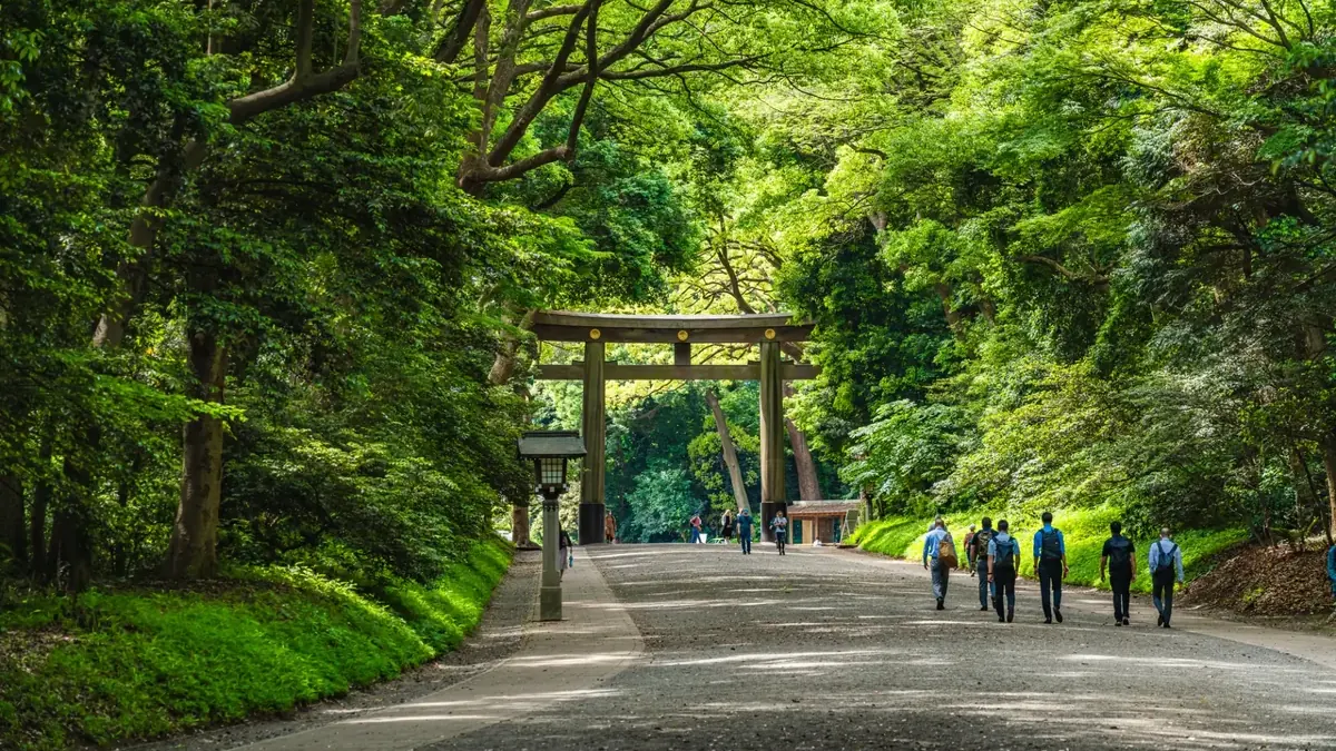 Meiji Jingu inner approach