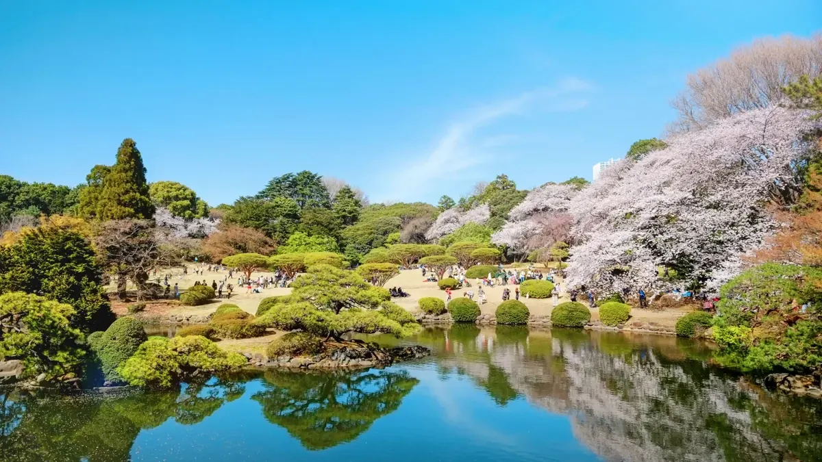 Shinjuku Gyoen National Garden