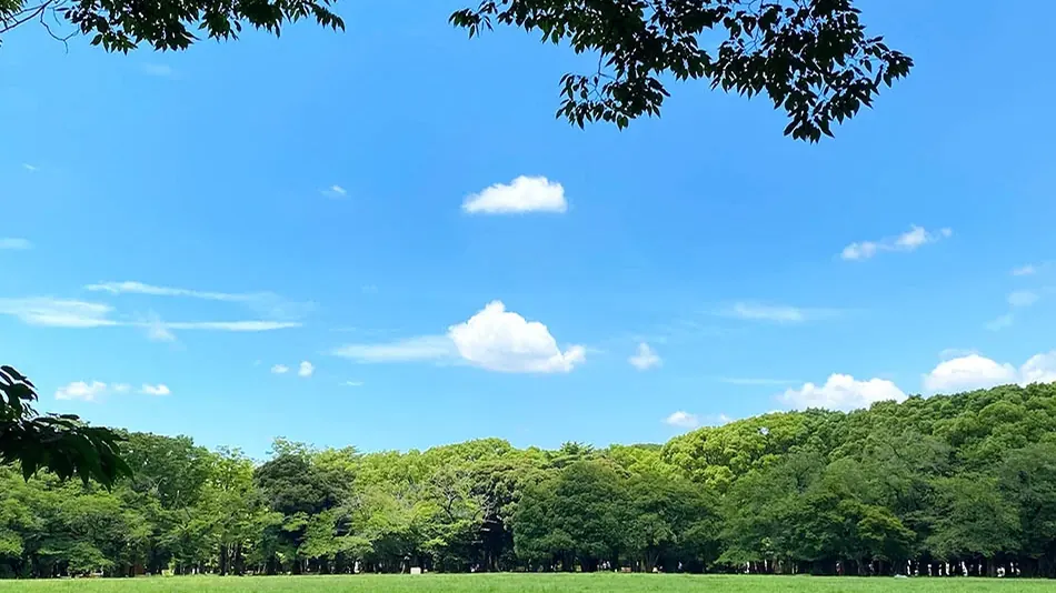 Yoyogi Park