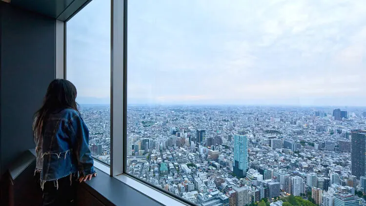 Tokyo Metropolitan Government Building Observation Decks